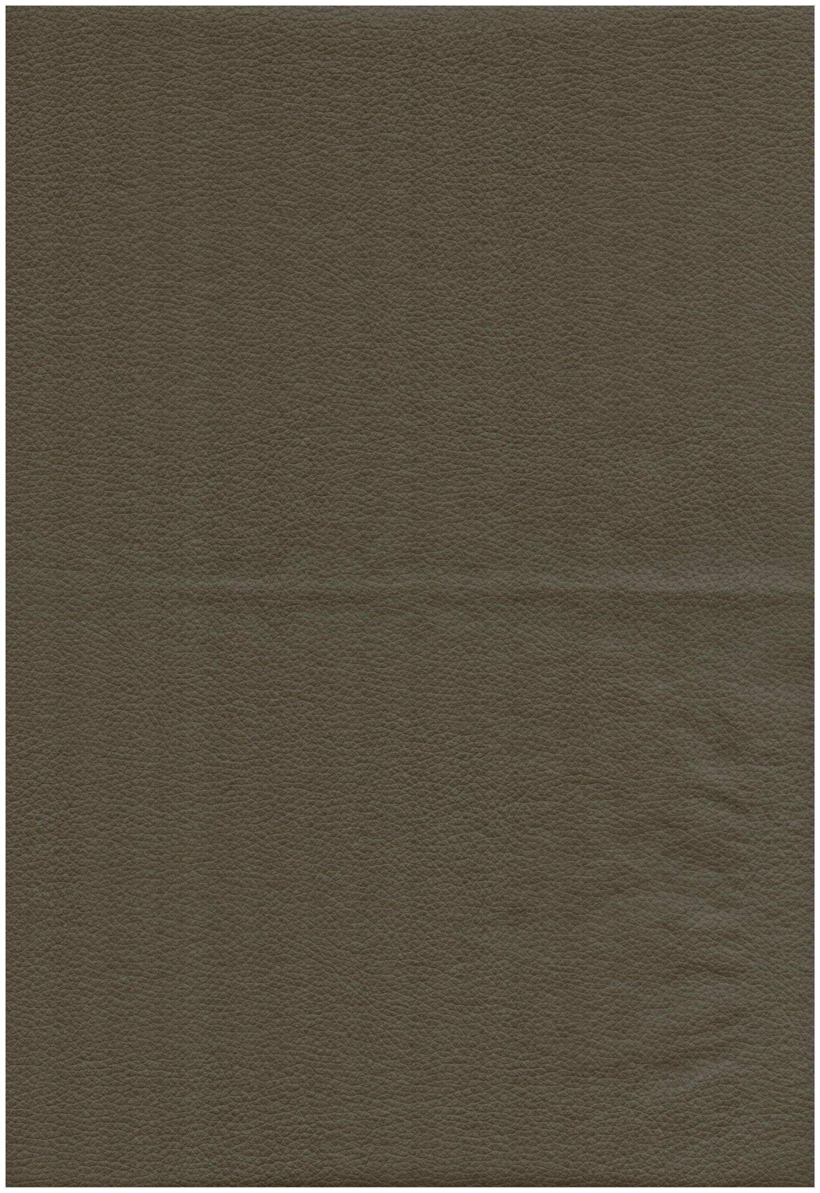 27 olive