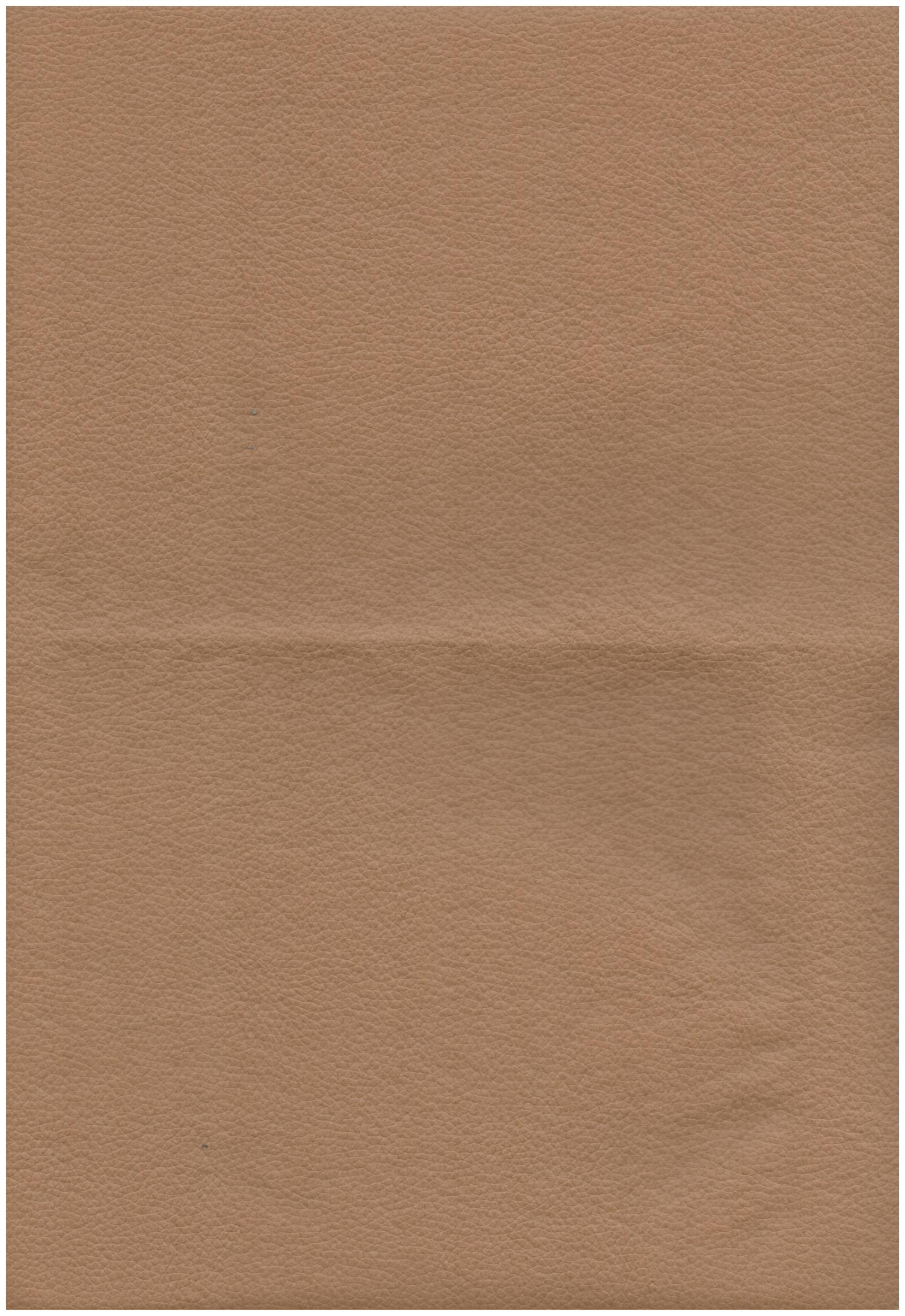 media/catalog/books/evg0005_2c7ecee9ef/evg0005_2c7ecee9ef_686079ebcb62761/colors/color_evg0005_2c7ecee9ef_686079ebcb62761_4396079ec707a656