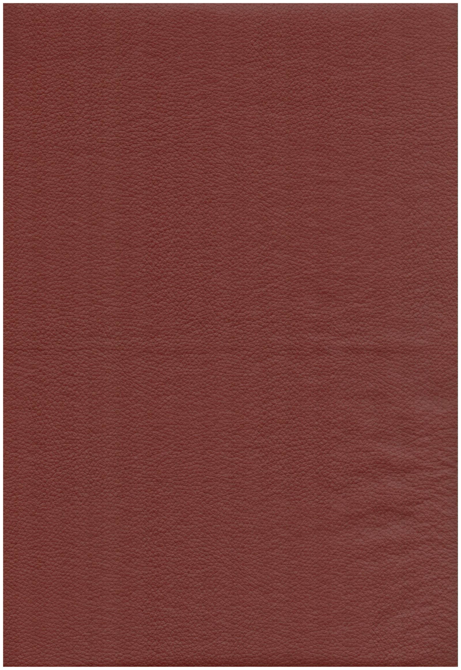808 terracotta