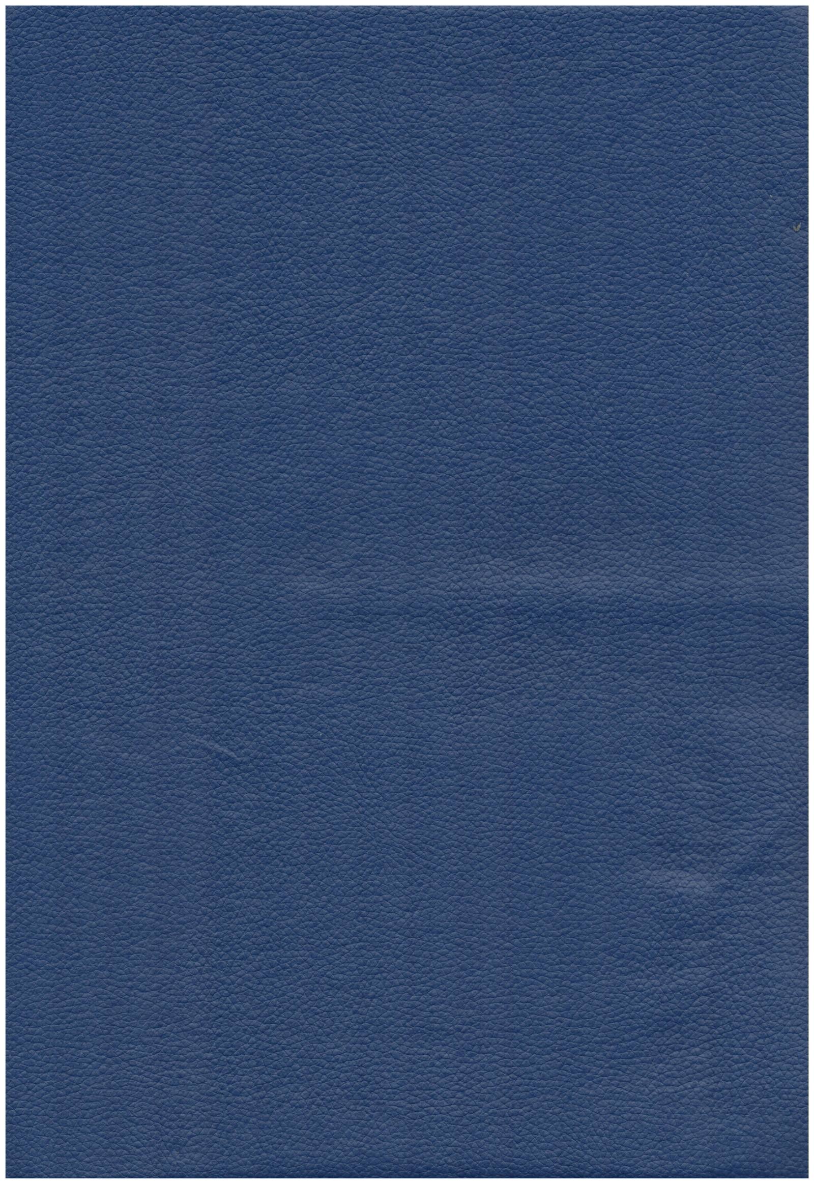 1009 blue