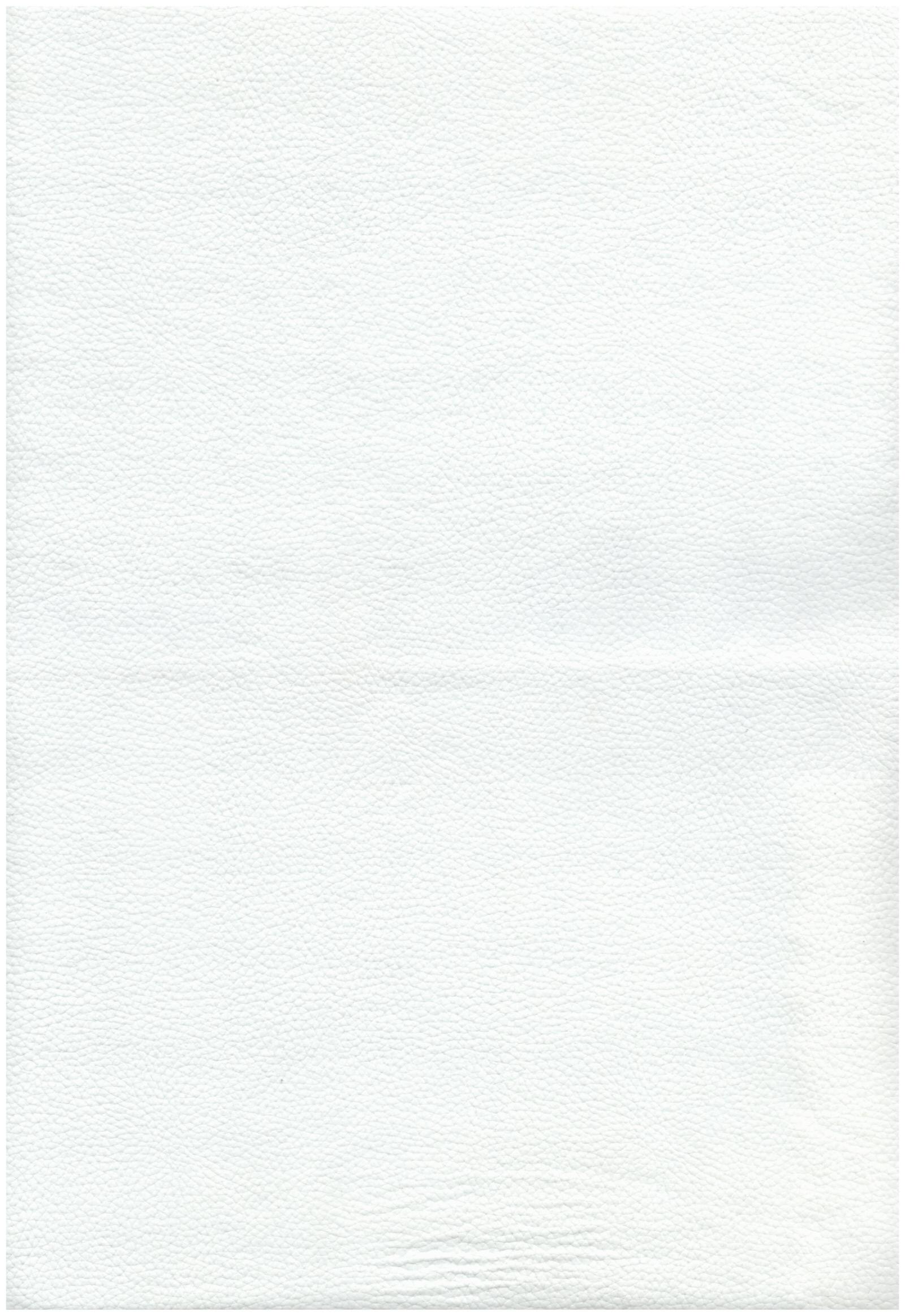 3822 white