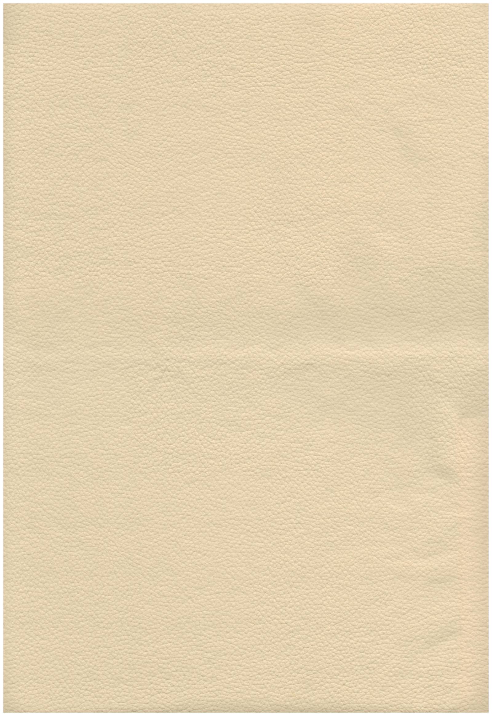 6003 cream