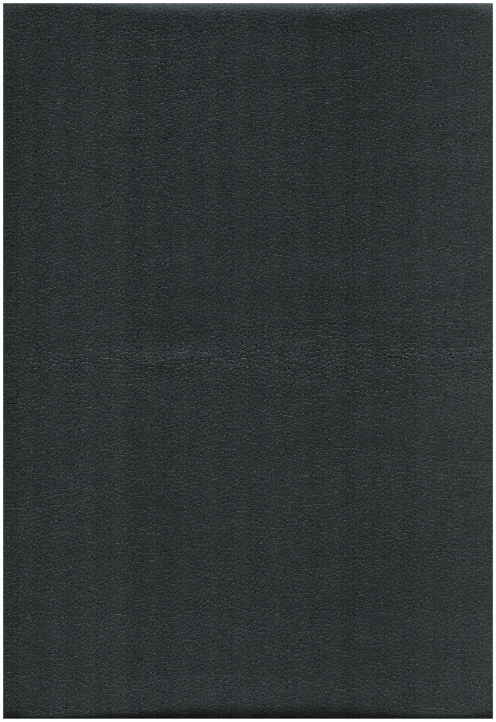 9009 black