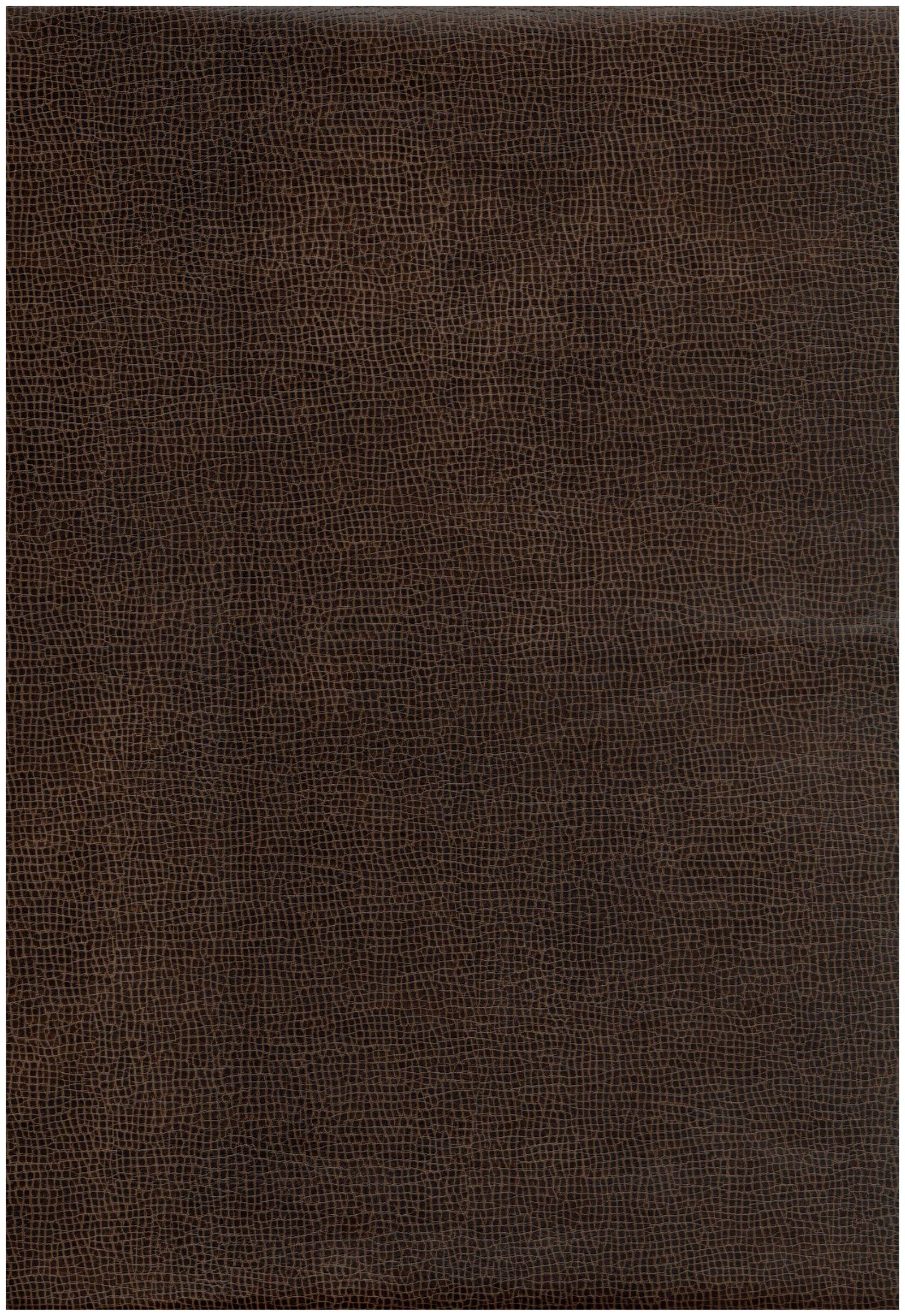 87 chestnut