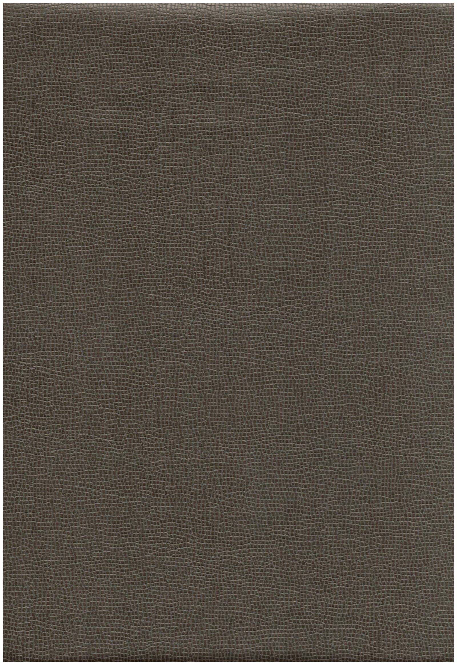 669 mica