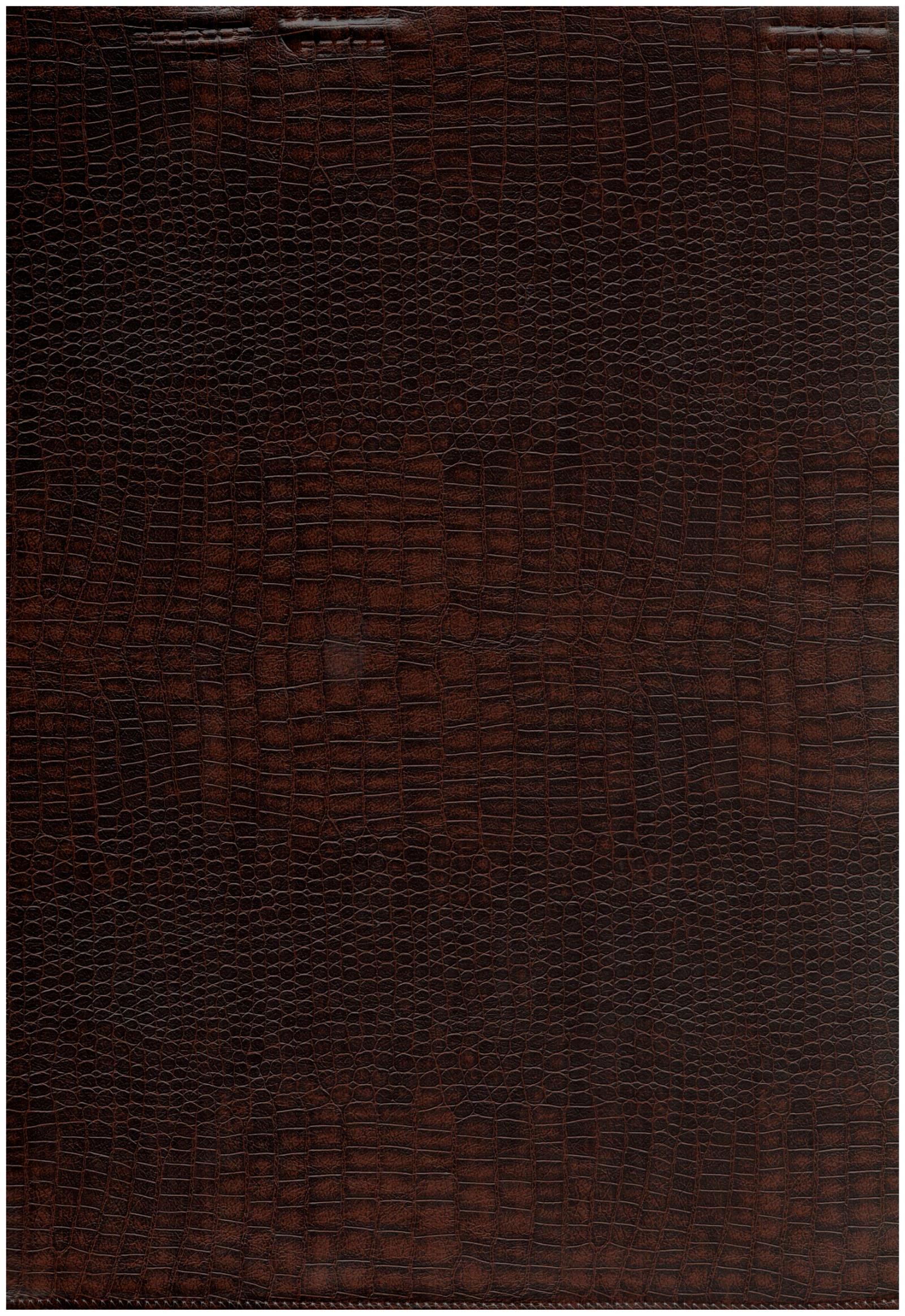 Tinga pattern