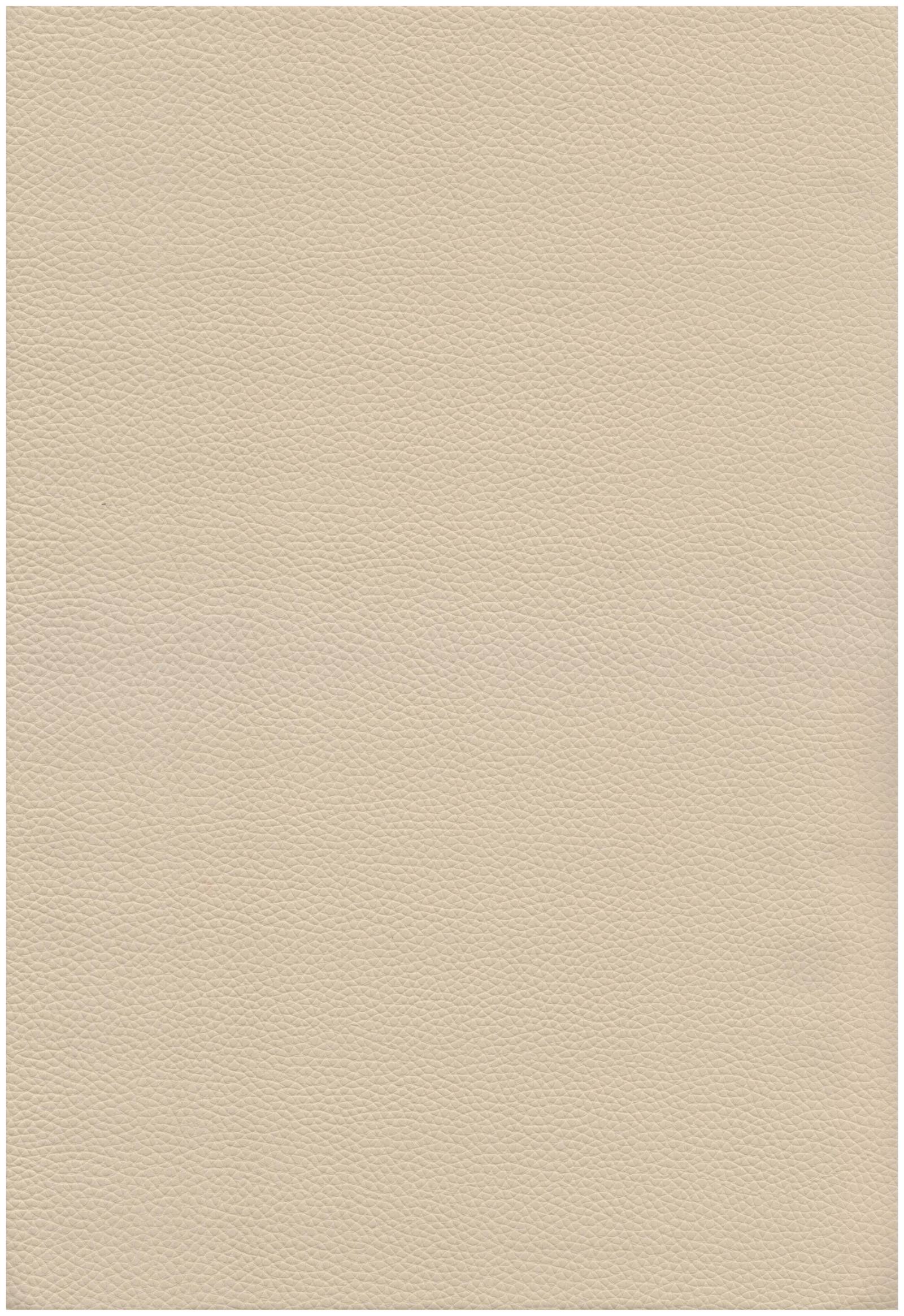 101 ivory