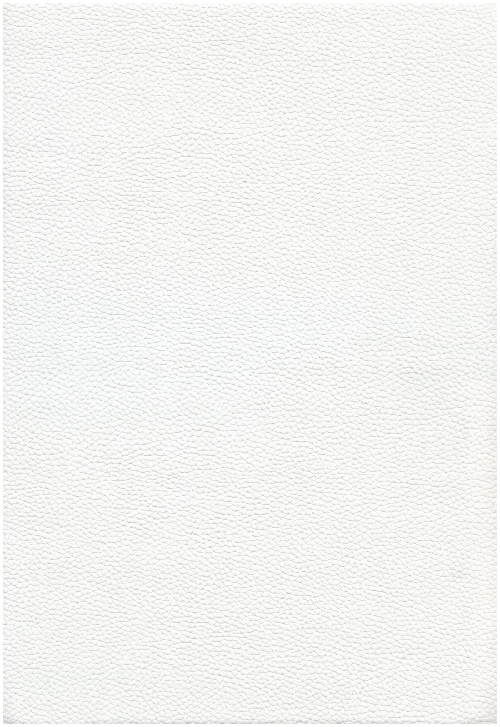 3801 white