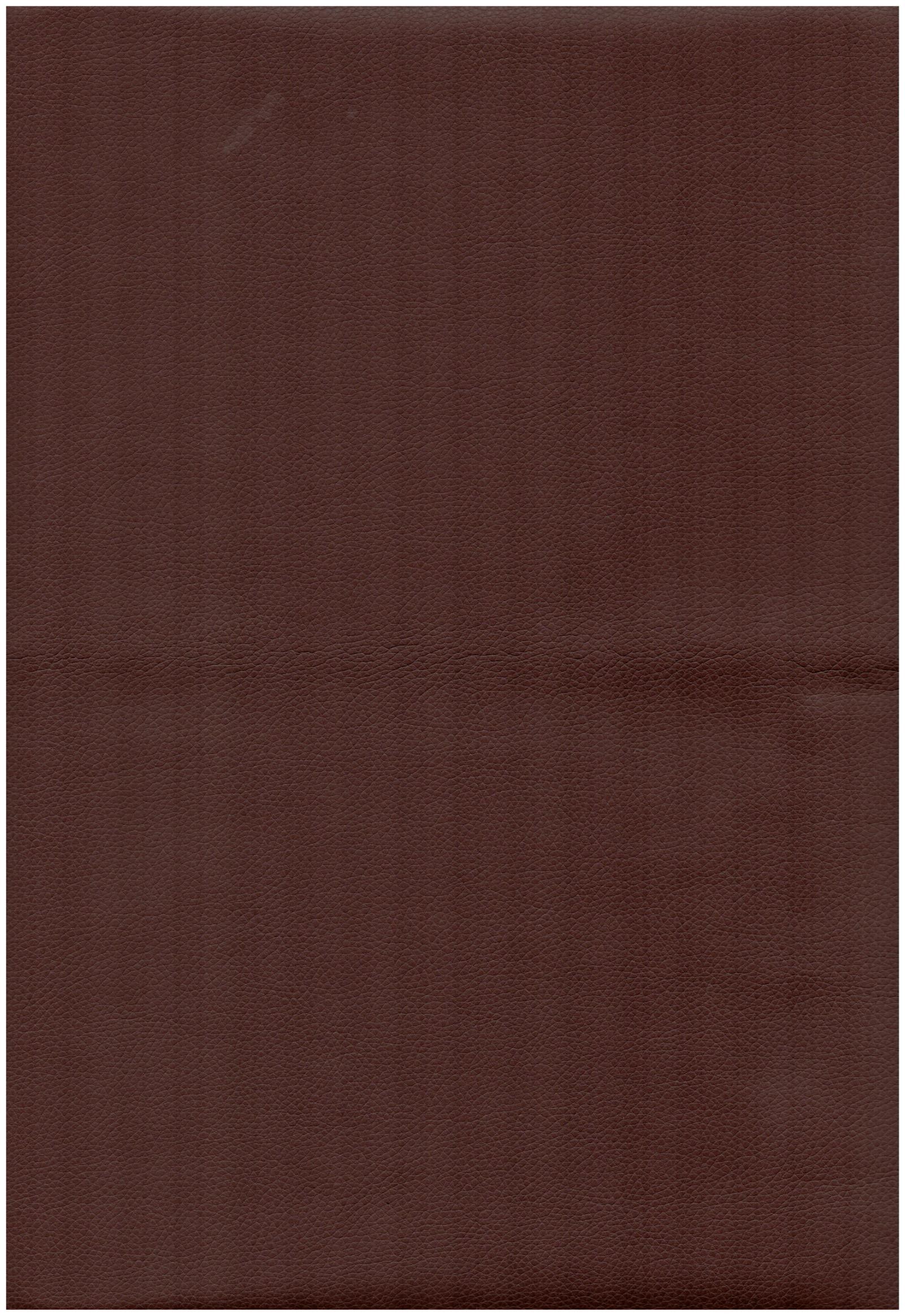 media/catalog/books/evg0041_2c7ecef391/evg0041_2c7ecef391_183607dd98dba976/colors/color_evg0041_2c7ecef391_183607dd98dba976_924607dd9a7cd7c7