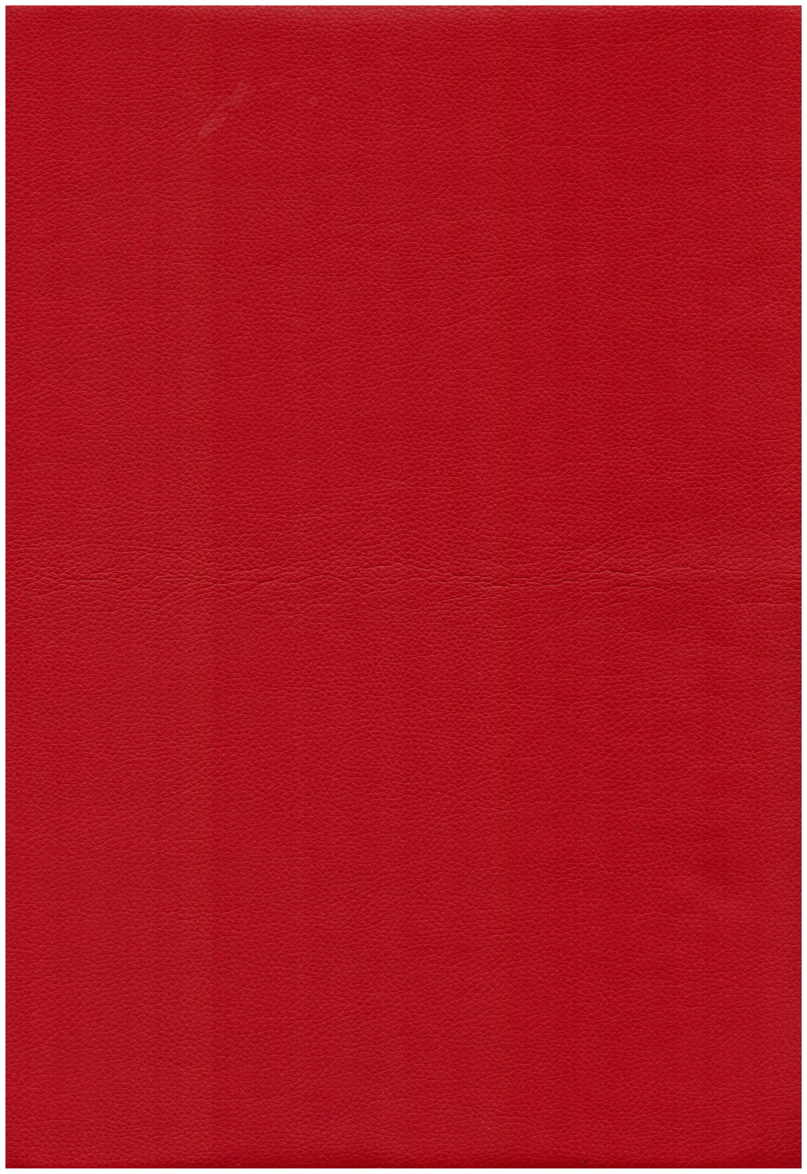 17 garnet