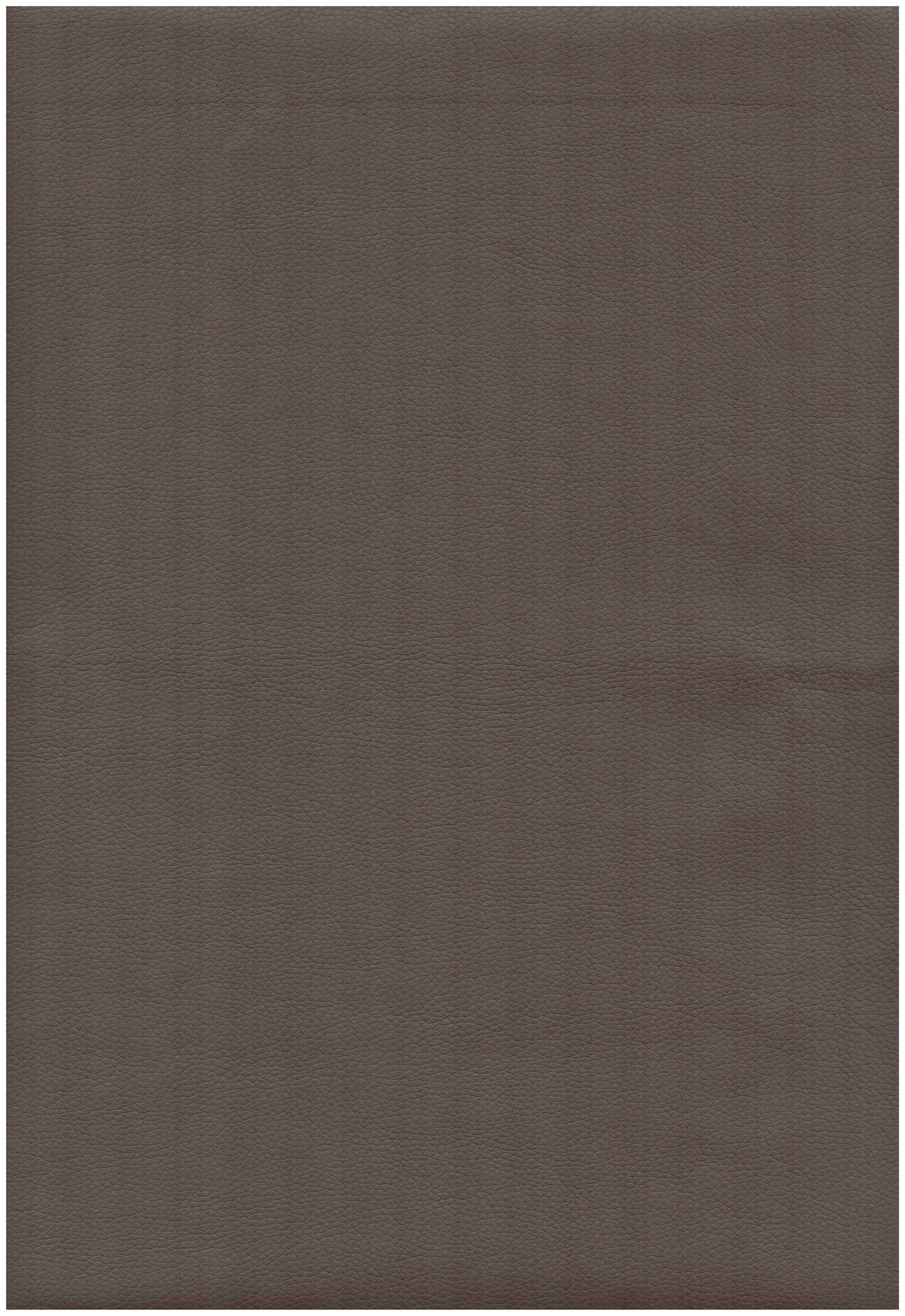 808 mocha