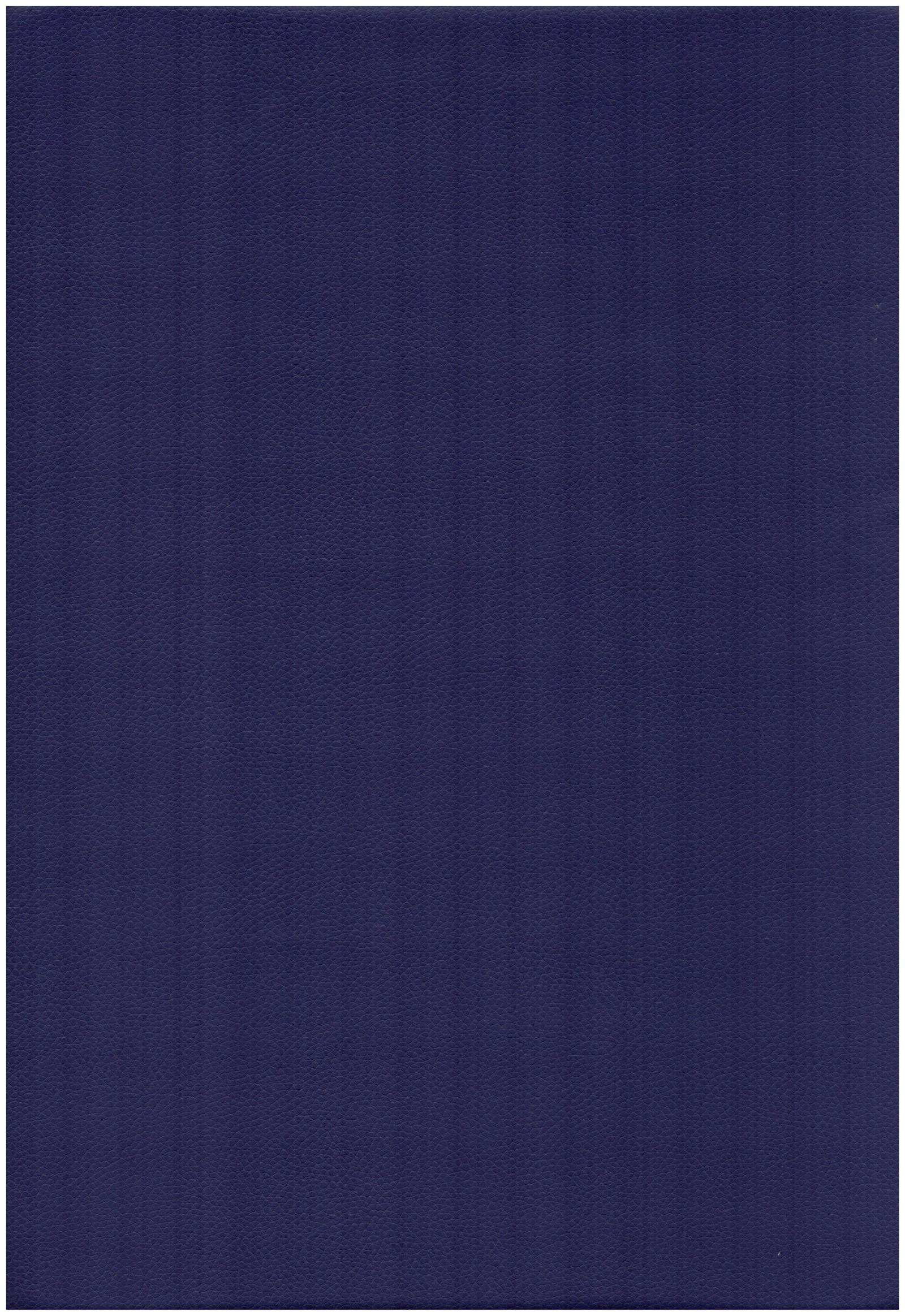 1009 plum