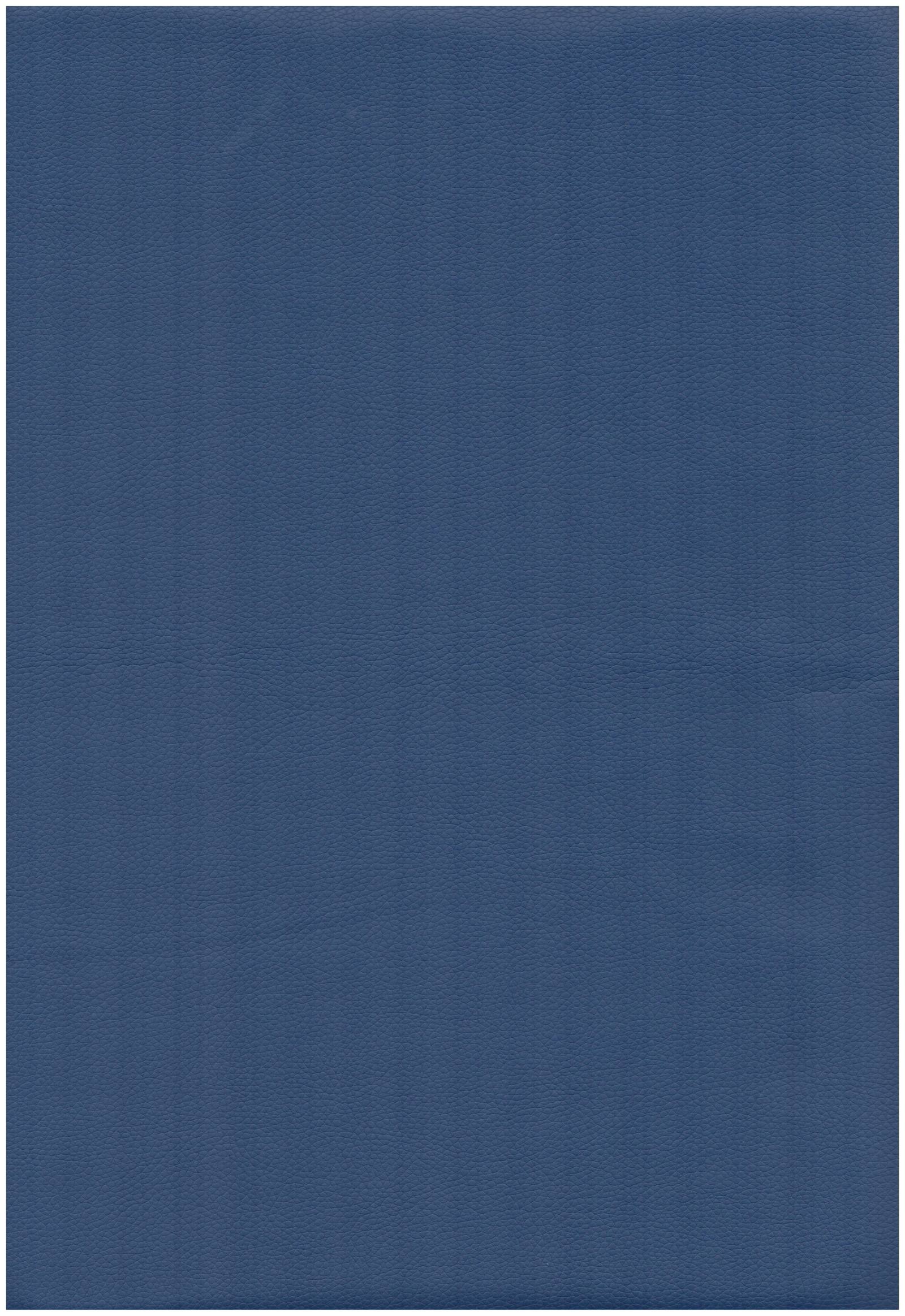 3003 blue