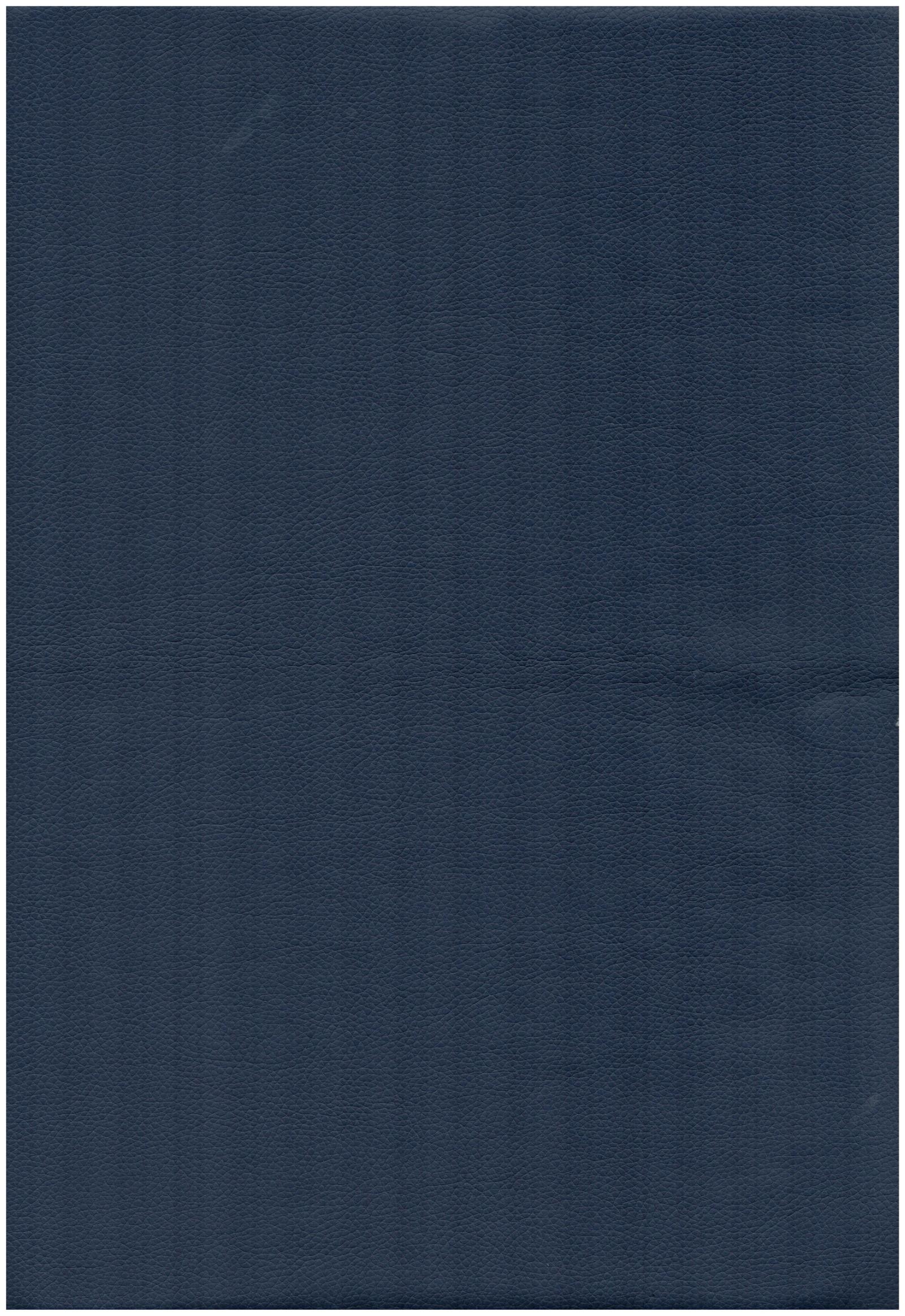 3006 navy