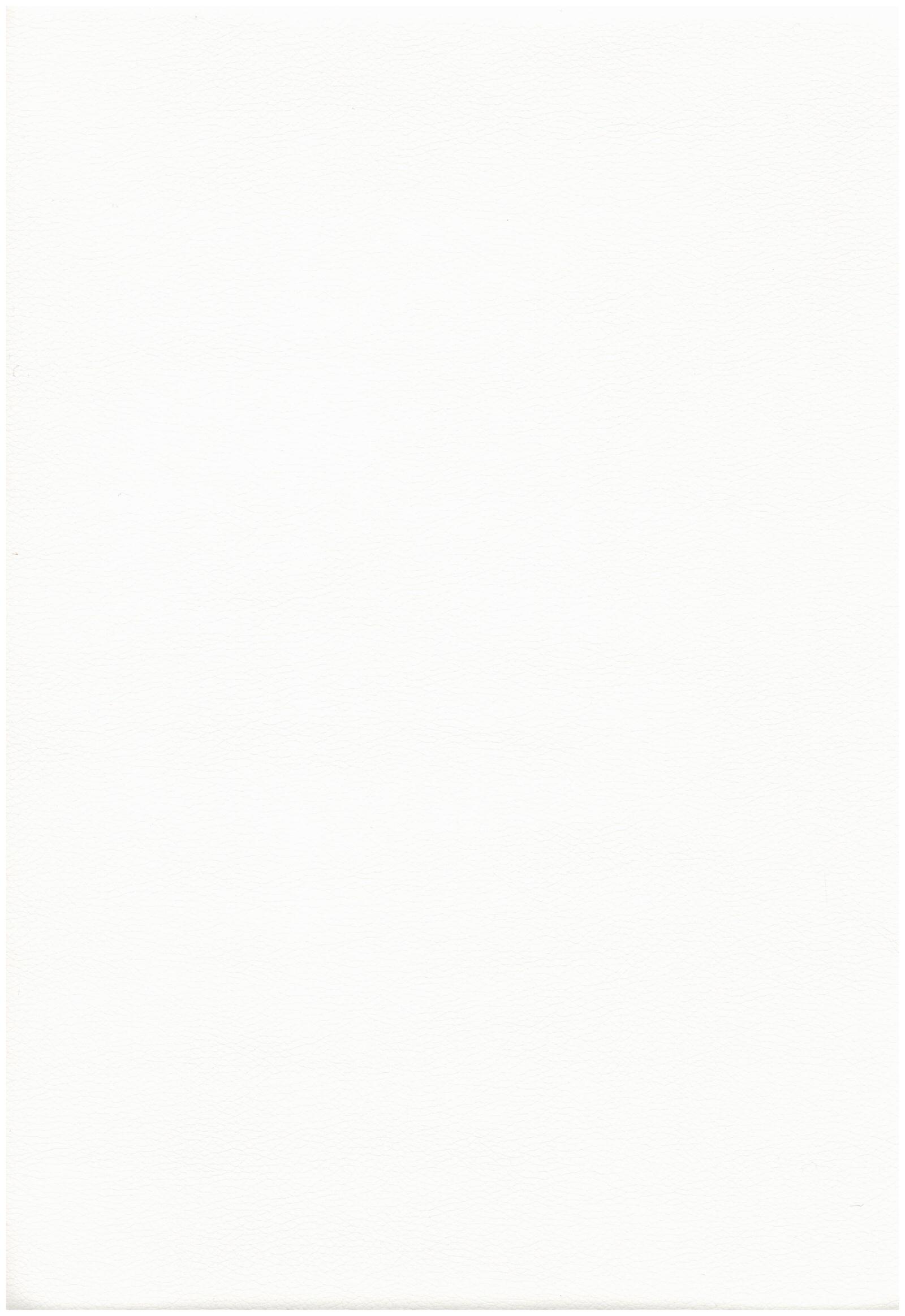 3822 white