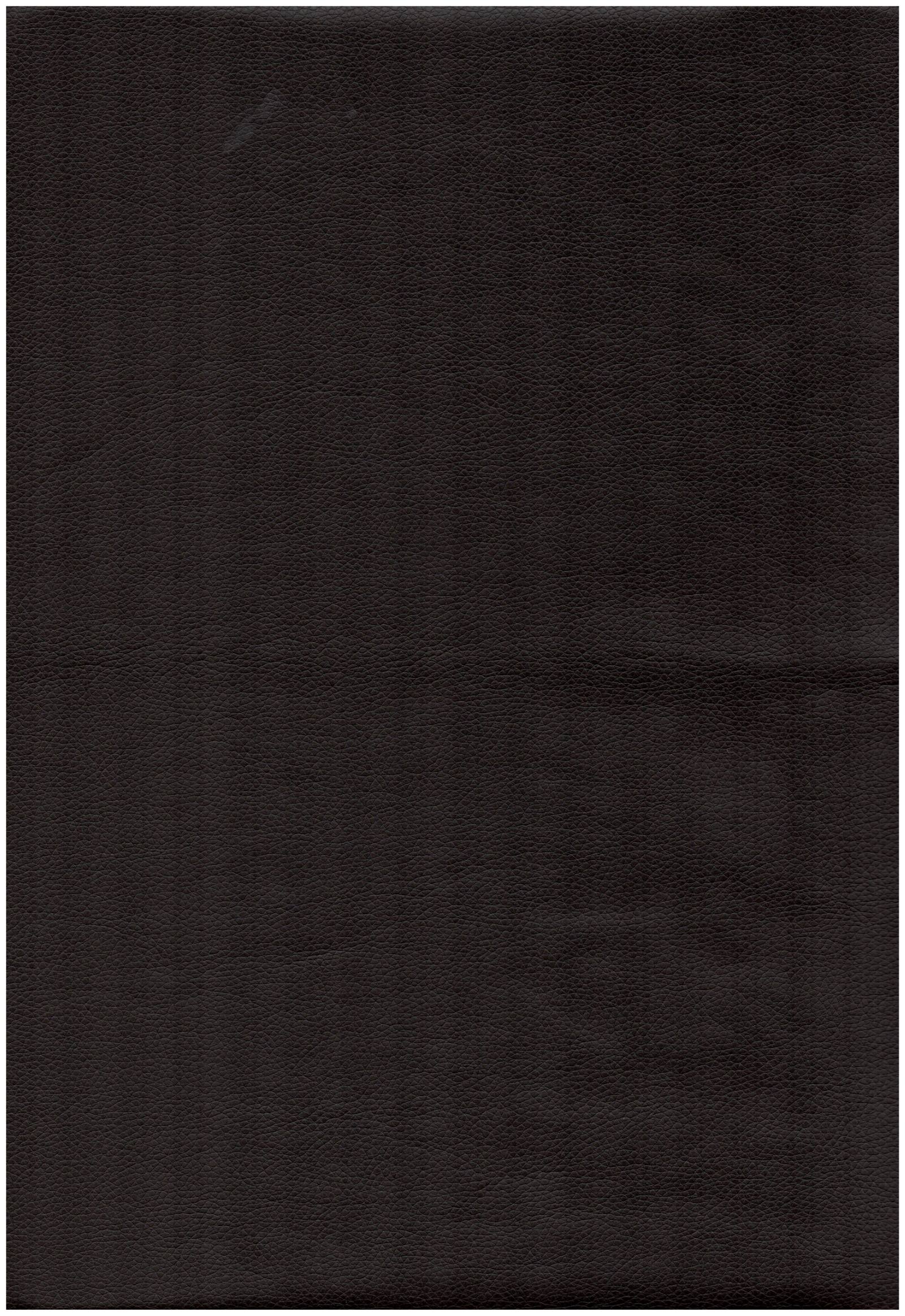 8020 chocolate