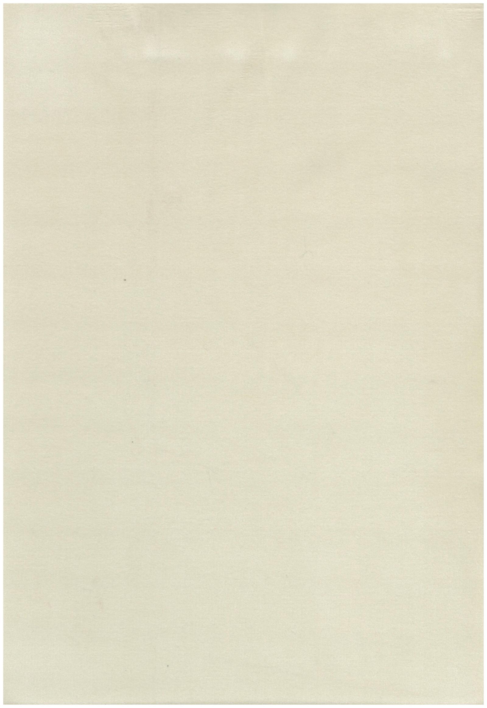 206 ivory