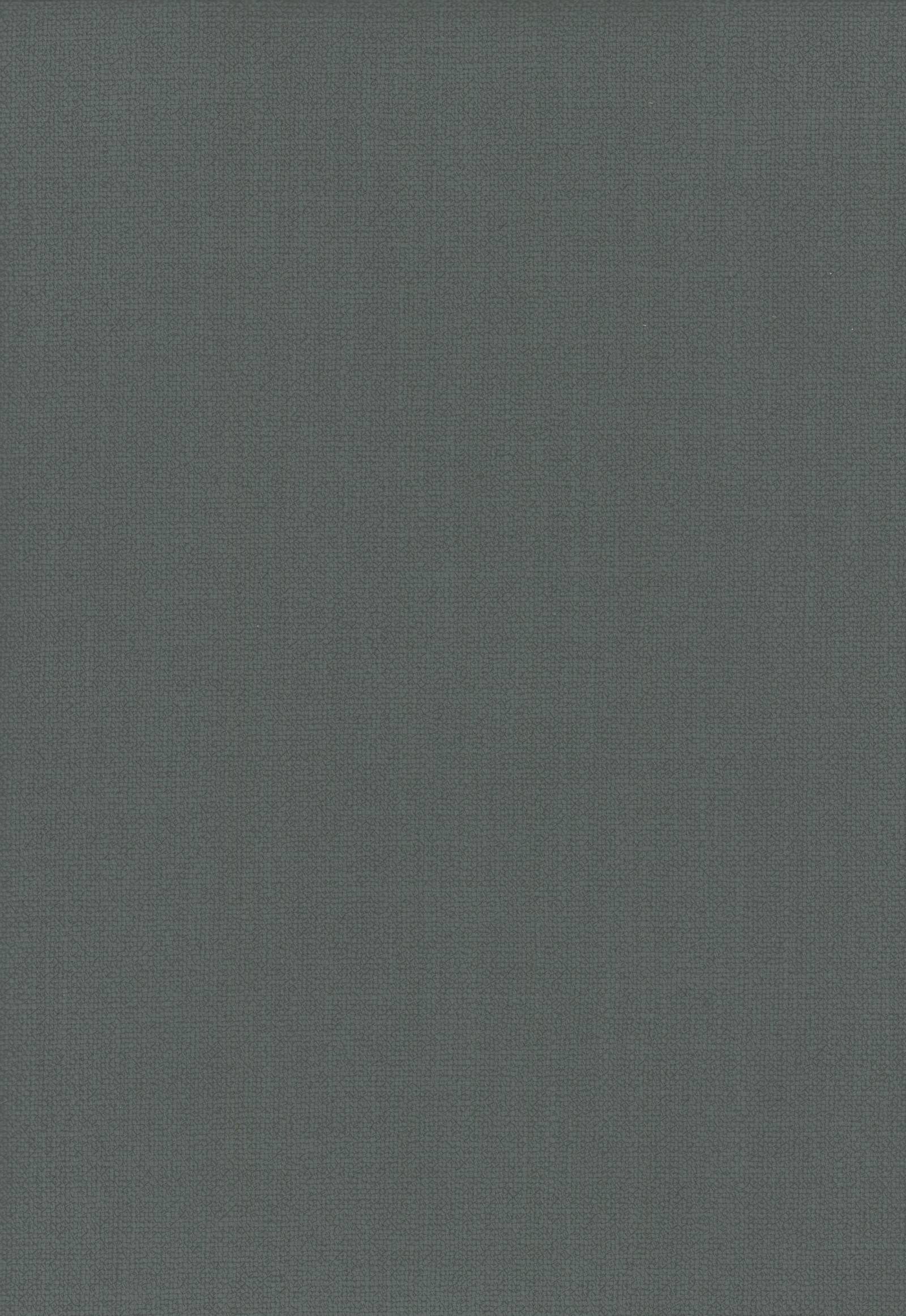 8004 charcoal