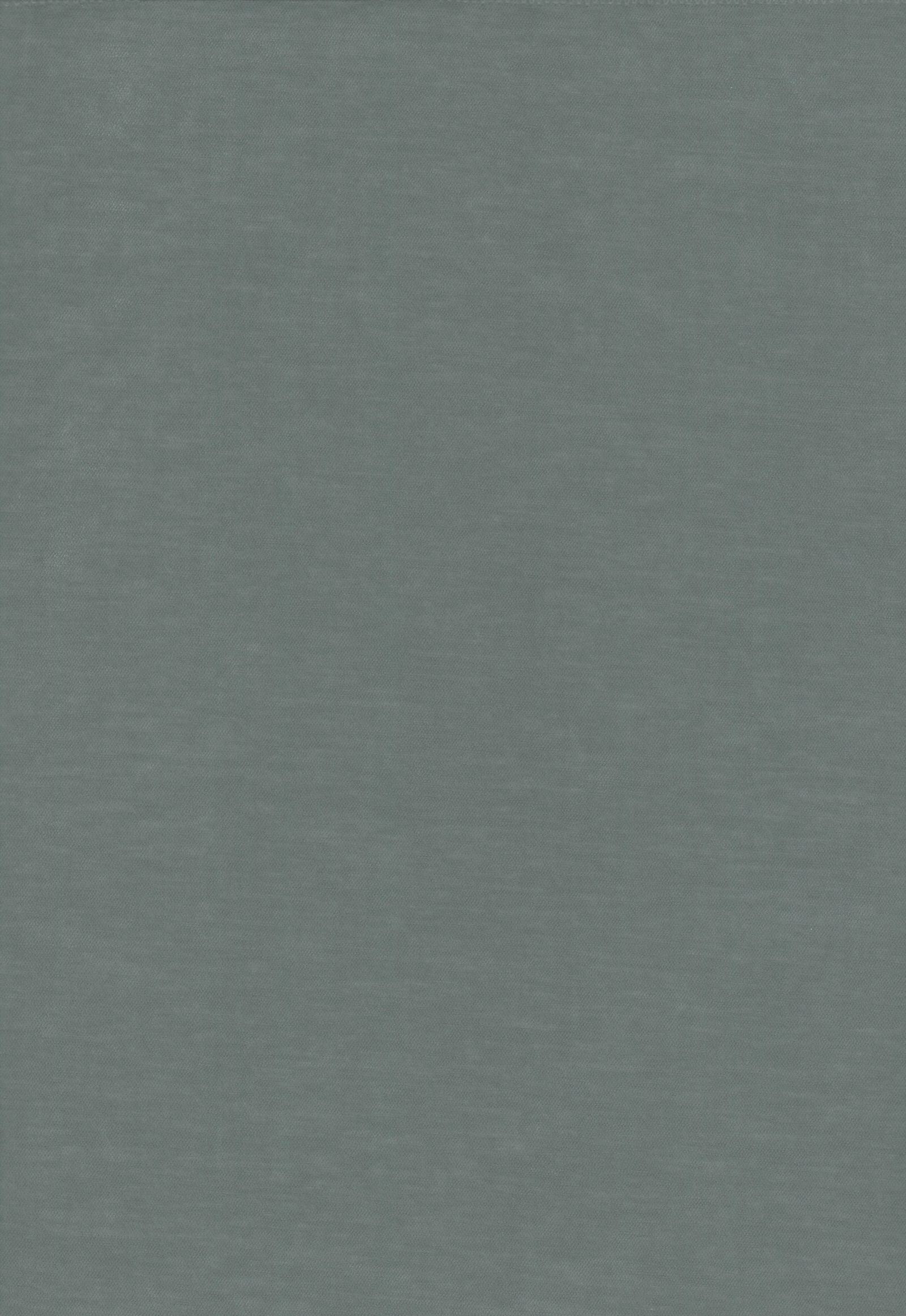 61 grey