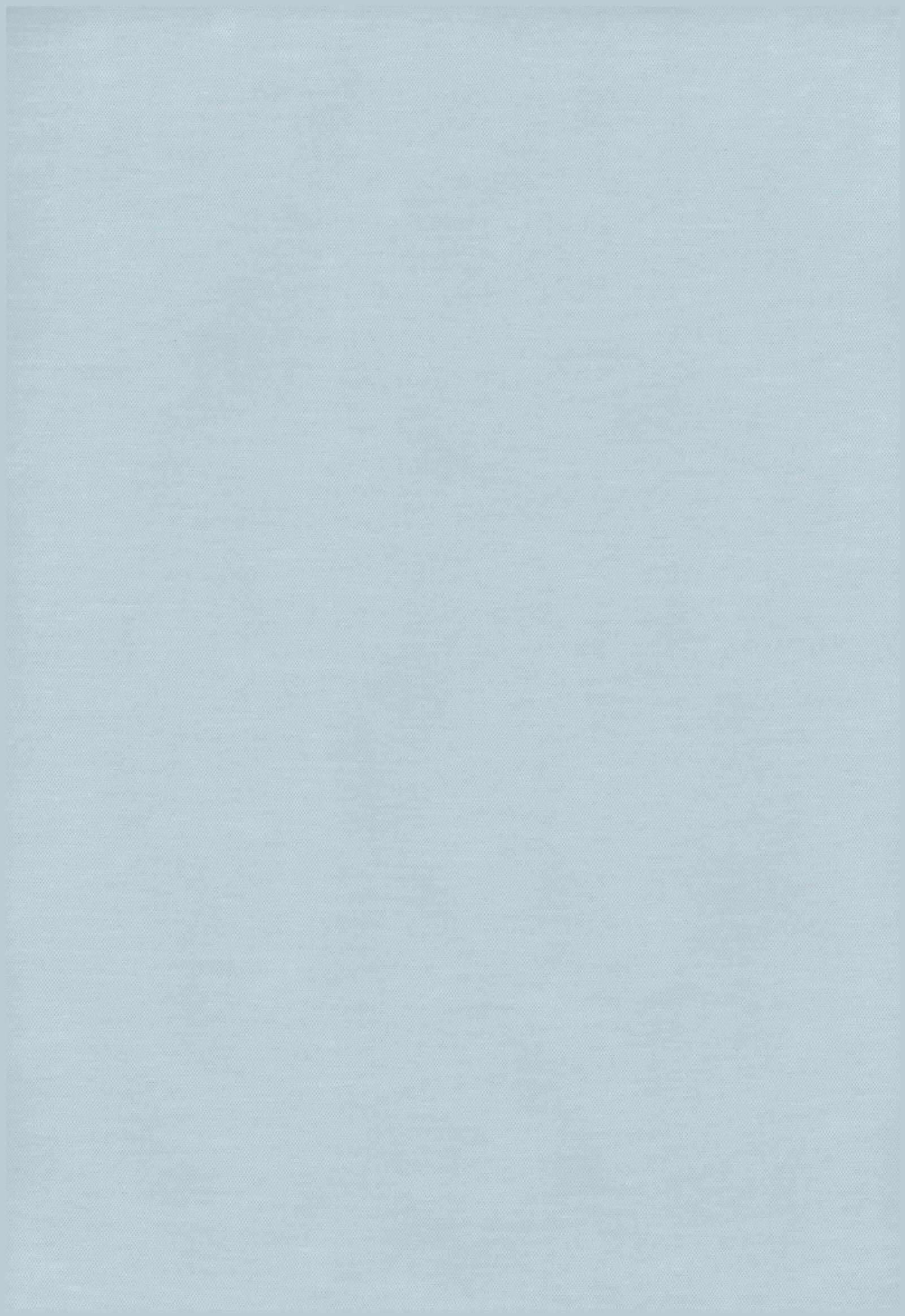 3006 sky blue