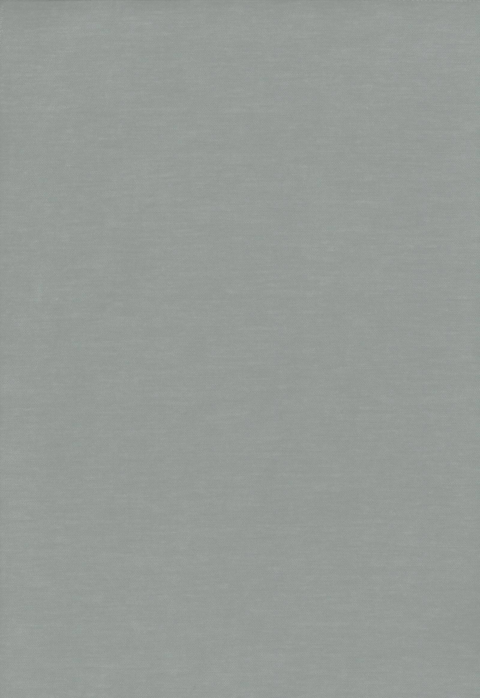 9006 pewter