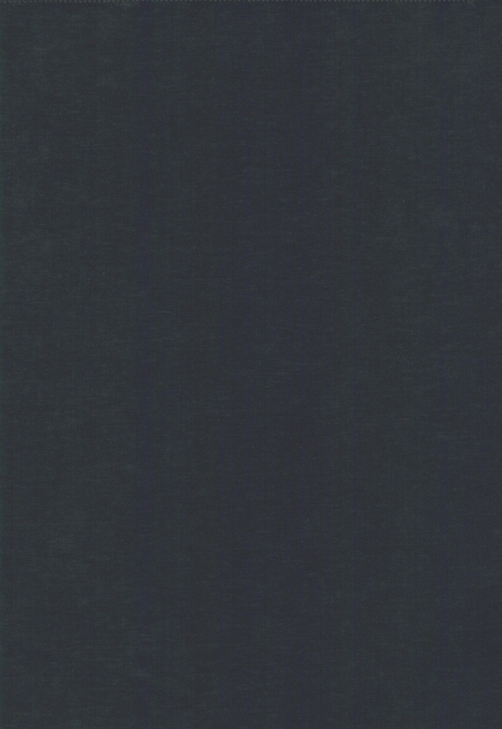 304 navy