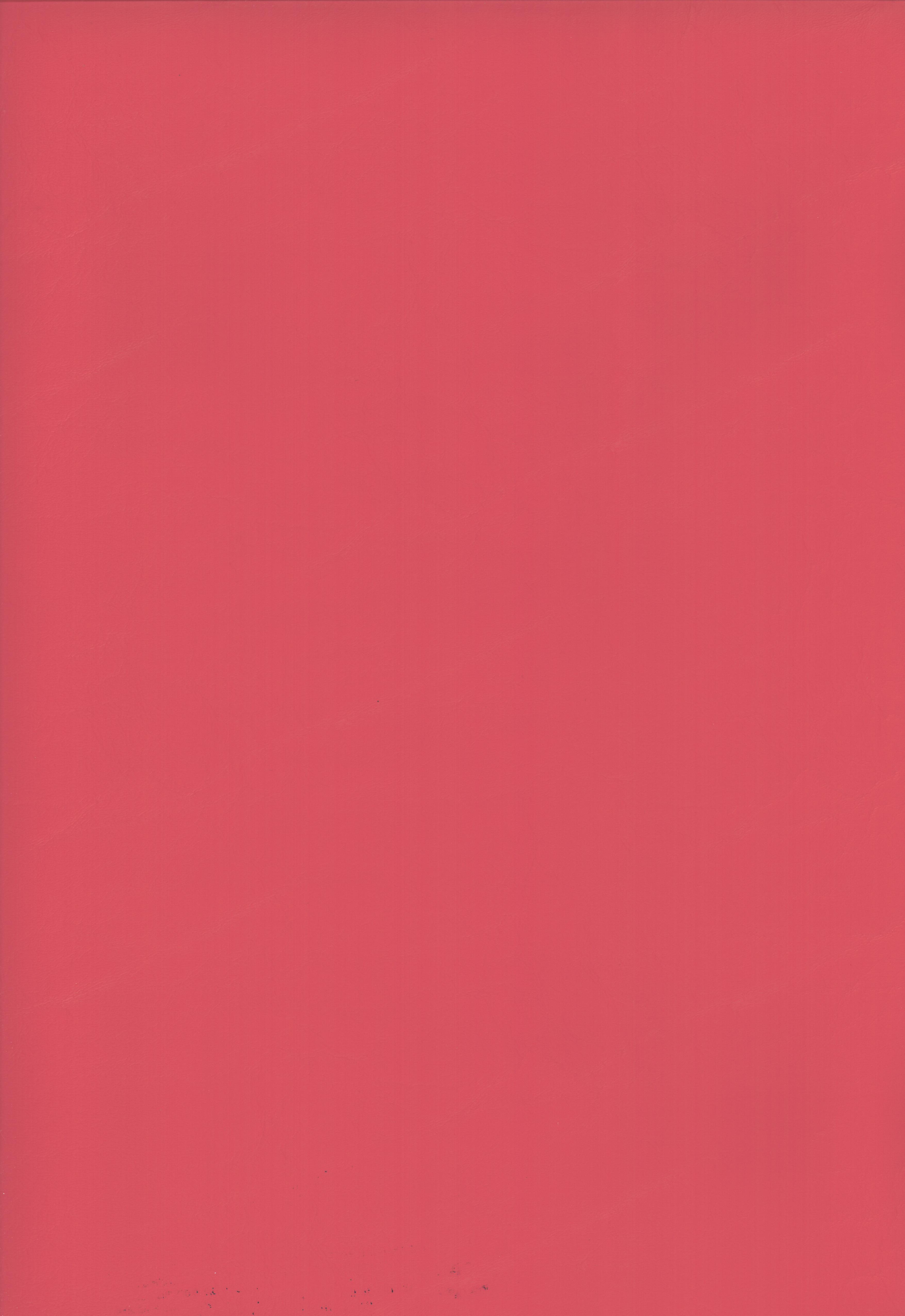 14 party pink
