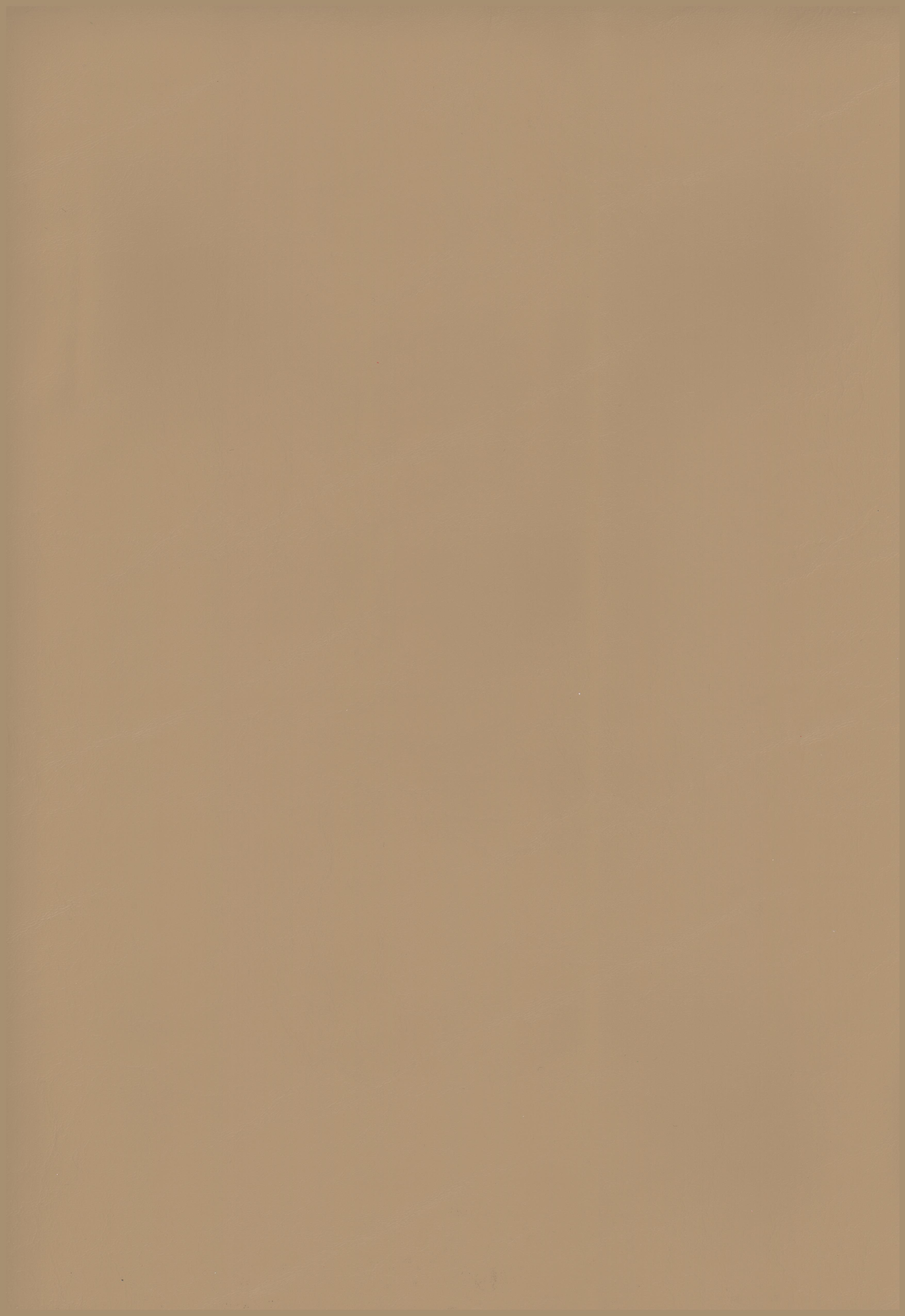 83 tan