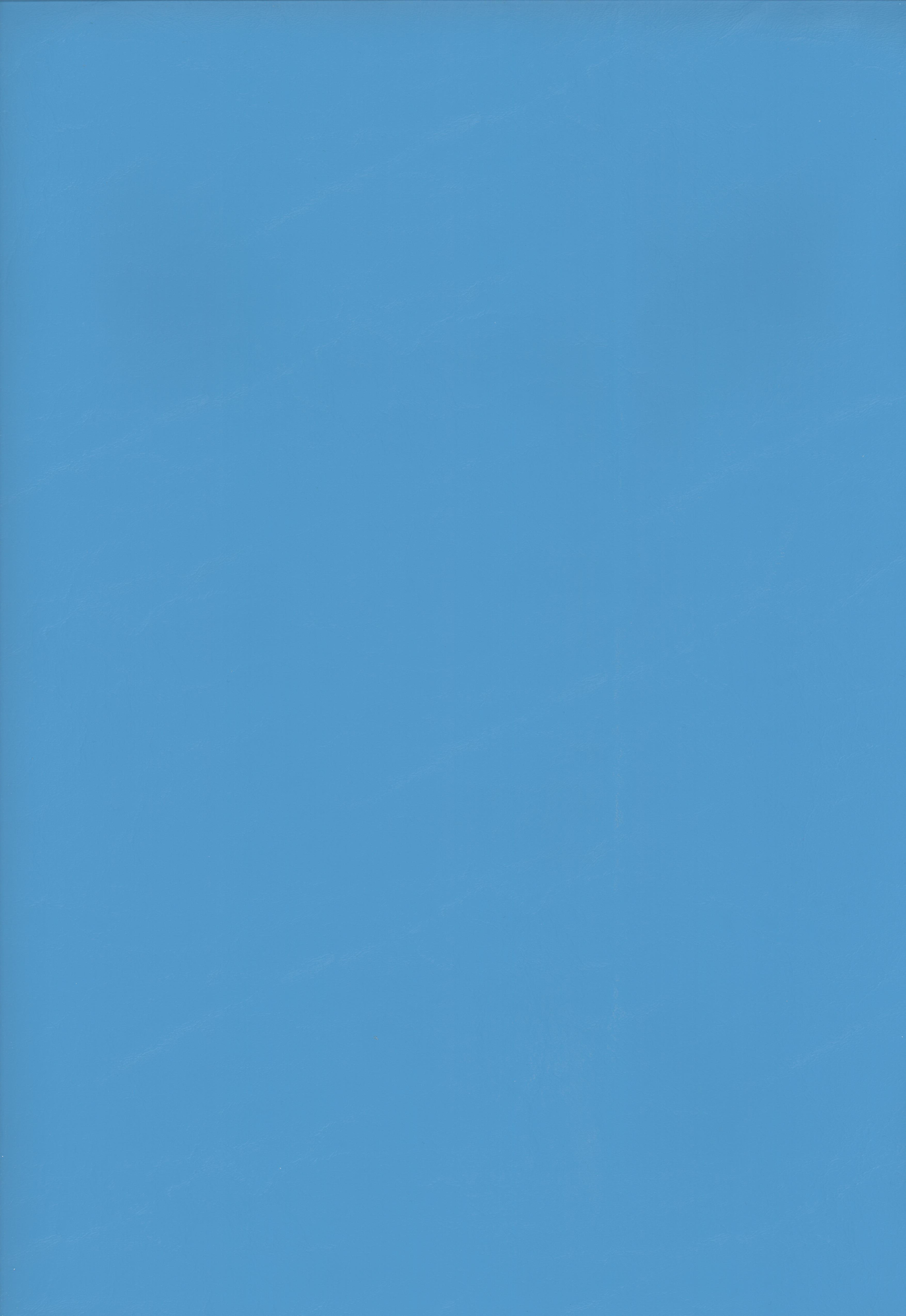404 cancun blue