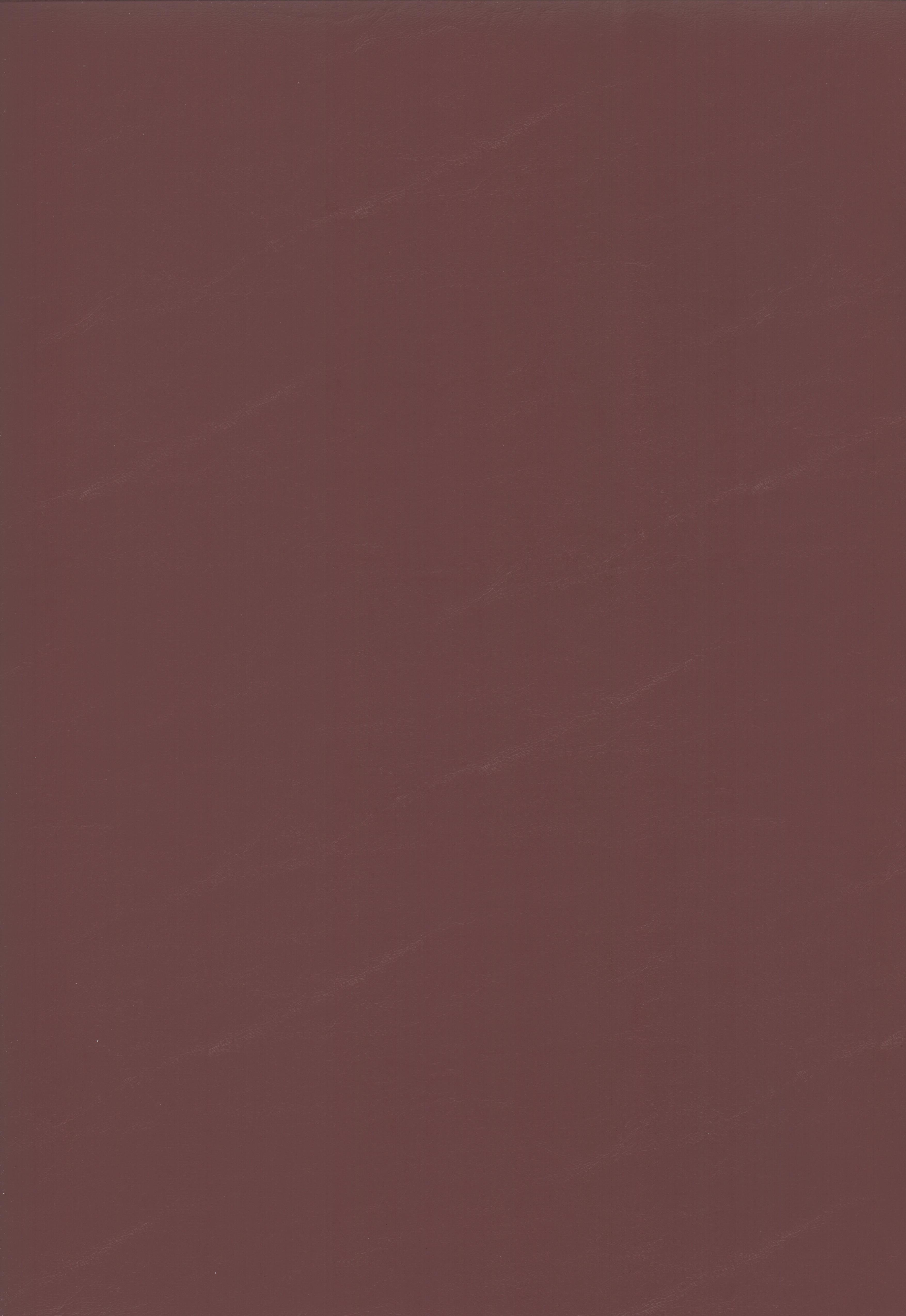 888 burgundy