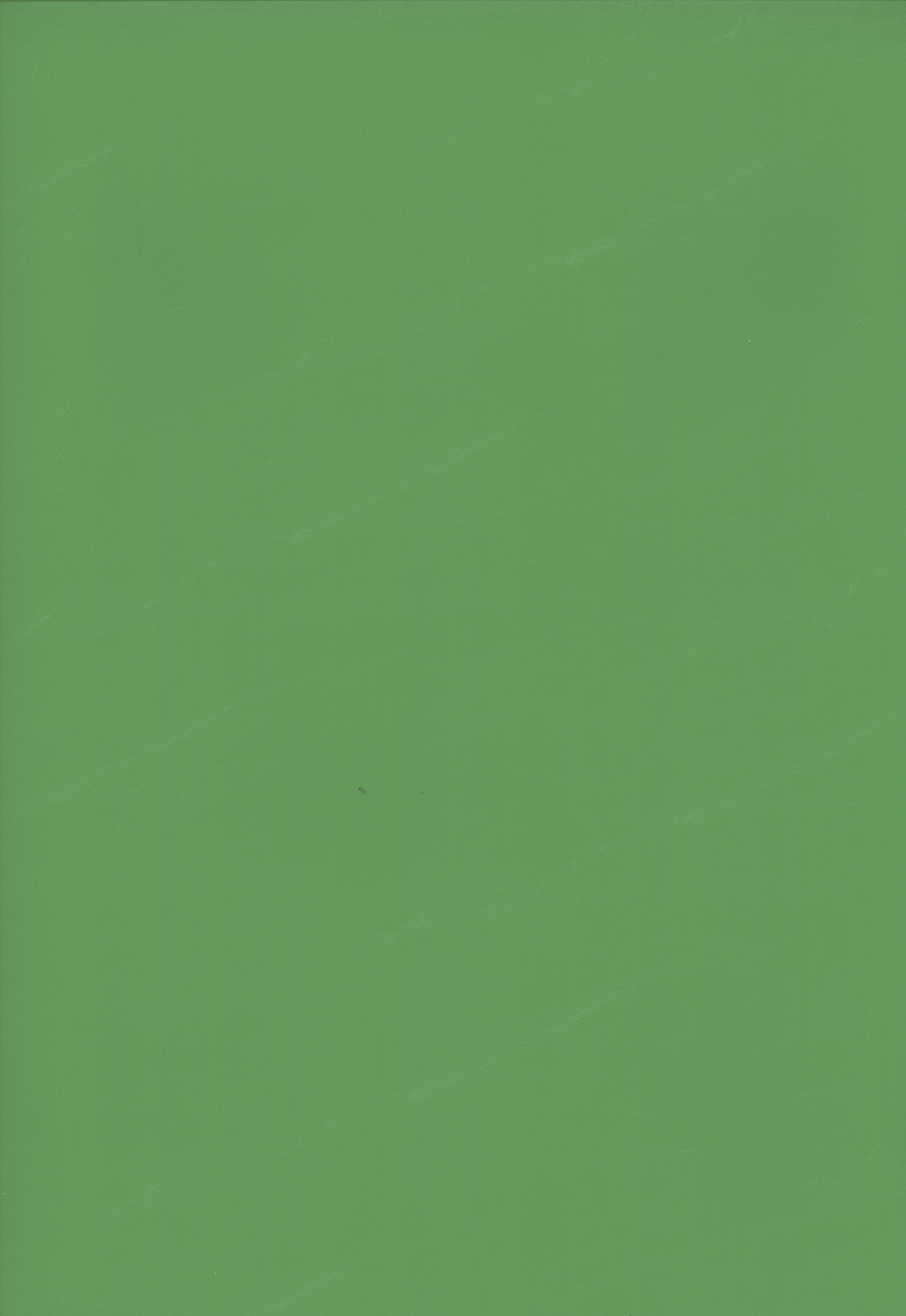2005 spring