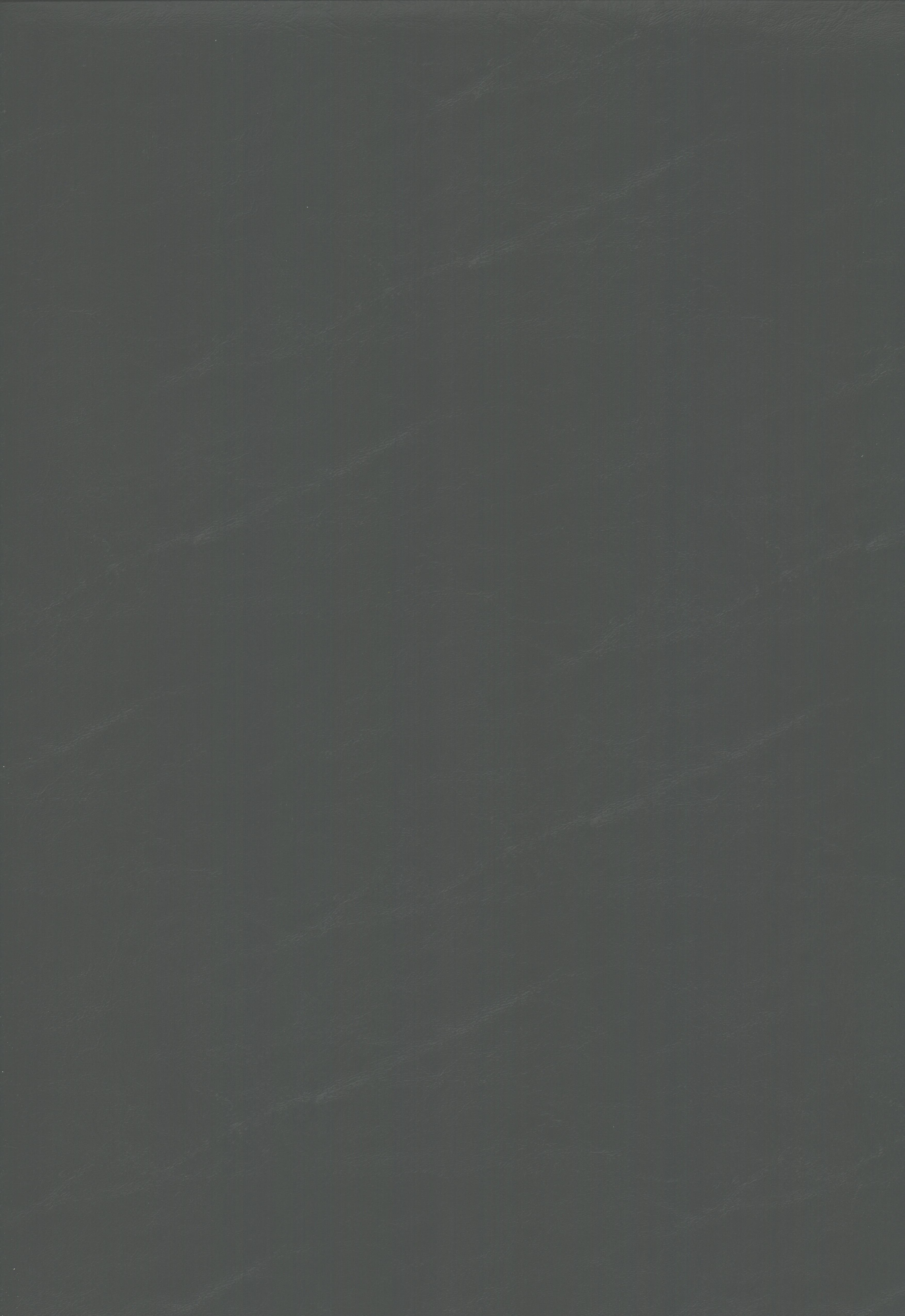 6009 dark grey