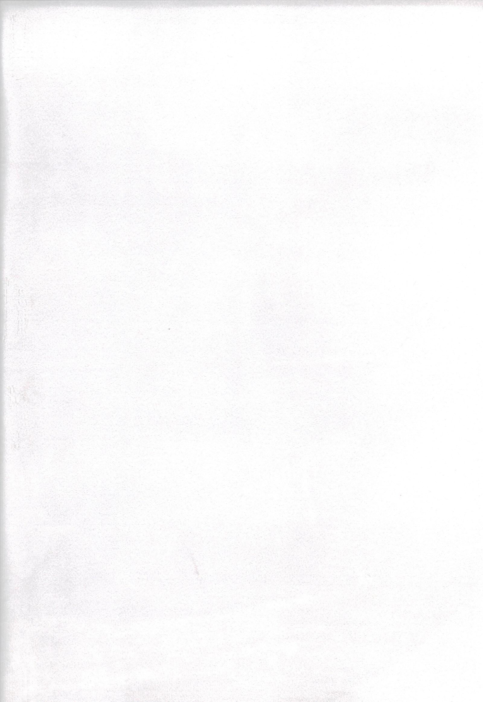 Bela pattern