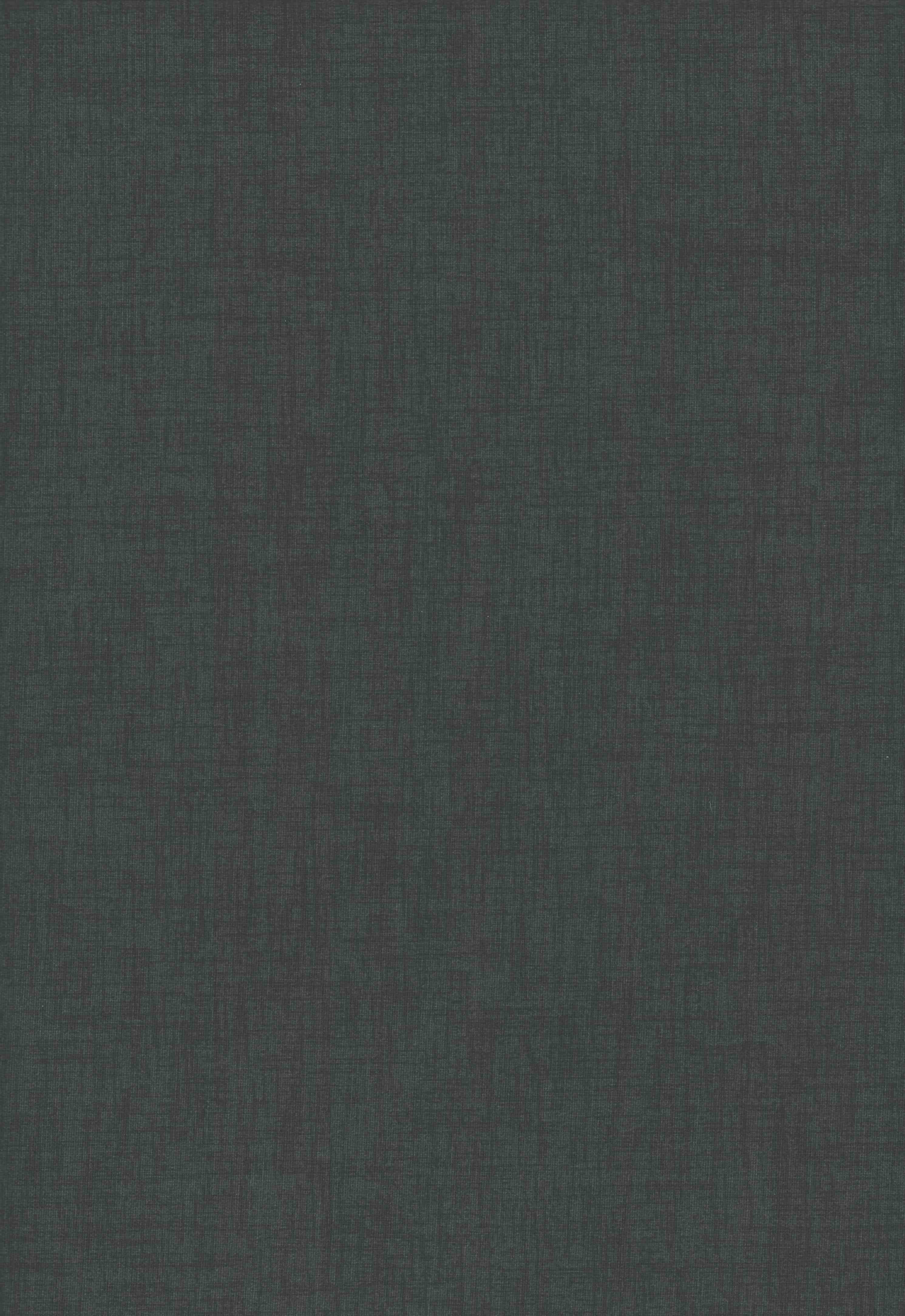 6009 dark grey